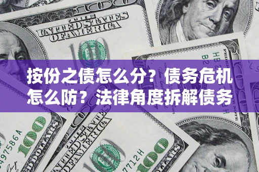武汉按份之债怎么分？债务危机怎么防？法律角度拆解债务分配与风险自保指南