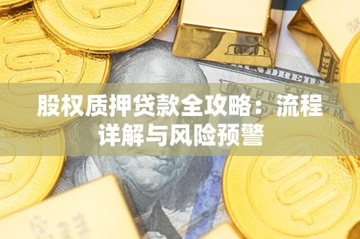 武汉股权质押贷款全攻略：流程详解与风险预警