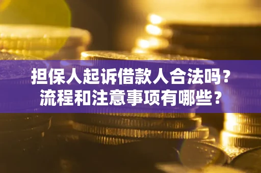 武汉担保人起诉借款人合法吗？流程和注意事项有哪些？