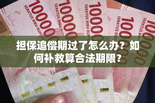 武汉担保追偿期过了怎么办？如何补救算合法期限？