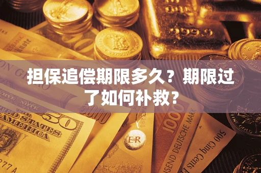 武汉担保追偿期限多久？期限过了如何补救？