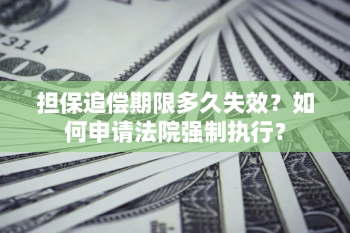 武汉担保追偿期限多久失效？如何申请法院强制执行？