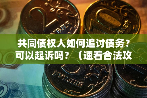 武汉共同债权人如何追讨债务？可以起诉吗？（速看合法攻略）