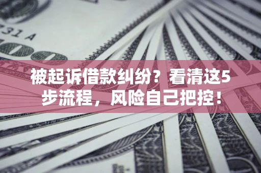 武汉被起诉借款纠纷？看清这5步流程，风险自己把控！