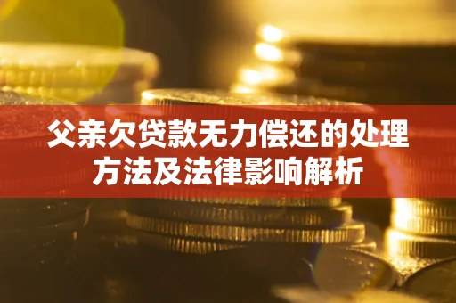 武汉父亲欠贷款无力偿还的处理方法及法律影响解析