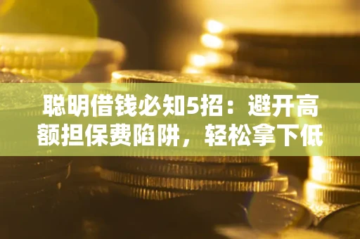 武汉聪明借钱必知5招：避开高额担保费陷阱，轻松拿下低息贷款