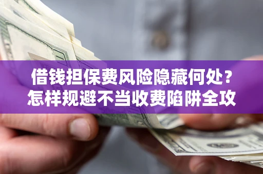 武汉借钱担保费风险隐藏何处？怎样规避不当收费陷阱全攻略！
