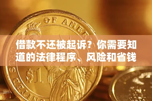 武汉借款不还被起诉？你需要知道的法律程序、风险和省钱技巧