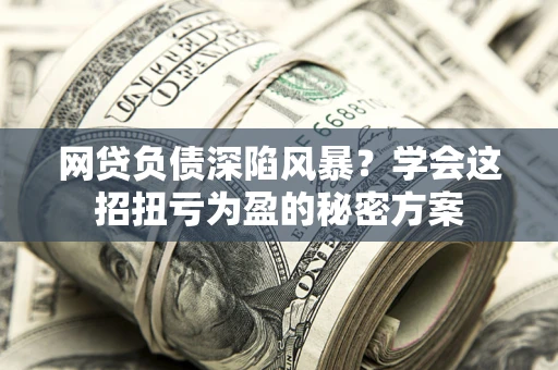 武汉网贷负债深陷风暴？学会这招扭亏为盈的秘密方案