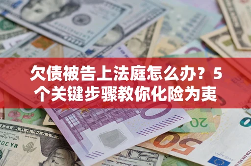 武汉欠债被告上法庭怎么办？5个关键步骤教你化险为夷